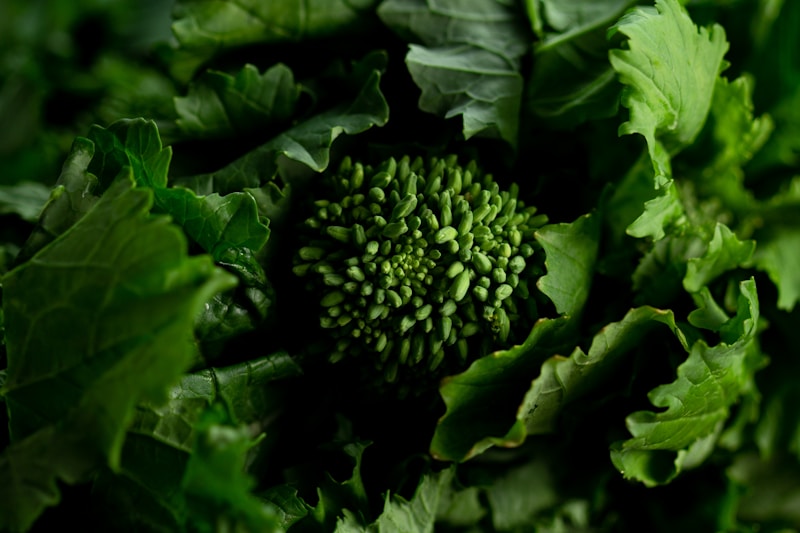 Cime di Rapa Ripassate con Aglio e Peperoncino