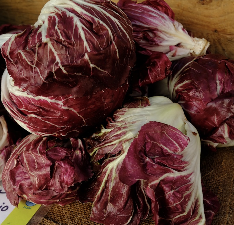 Radicchio Rosso alla Griglia con Balsamico