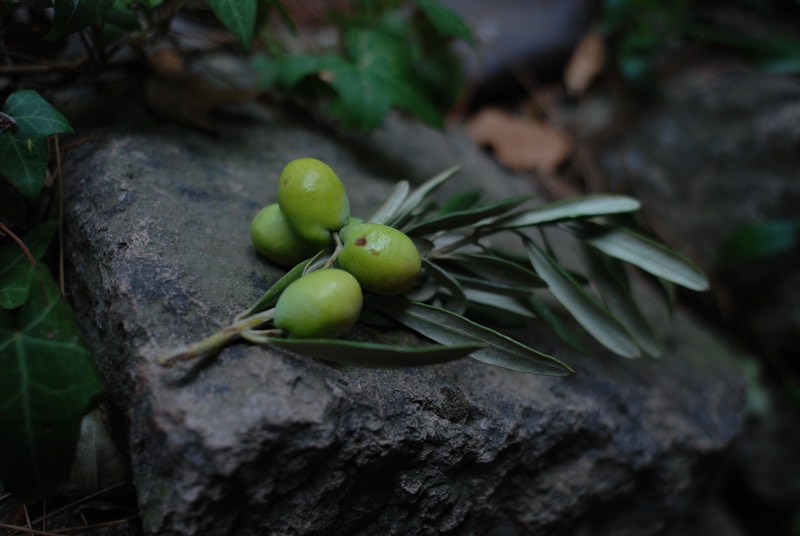 Scarola all'Agro con Olive e Capperi